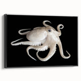 Framed canvas wall art showcasing a vibrant octopus design with intricate details and a black frame, perfect for marine life enthusiasts and home decor.