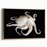 Framed wall art featuring a vibrant octopus design in marine life theme, set against a gold background, perfect for enhancing coastal decor aesthetics.