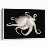 Framed canvas wall art featuring a vibrant octopus design, showcasing intricate details and bold colors, set against a white background for a modern touch. Ideal for marine life enthusiasts or coastal décor.