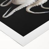 Vibrant rolled canvas wall art showcasing a detailed octopus design, perfect for marine enthusiasts, featuring rich colors and intricate textures.