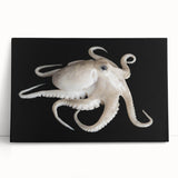 Vibrant octopus design on stretched canvas wall art, showcasing intricate marine life details in blue and orange hues, perfect for ocean-themed decor.