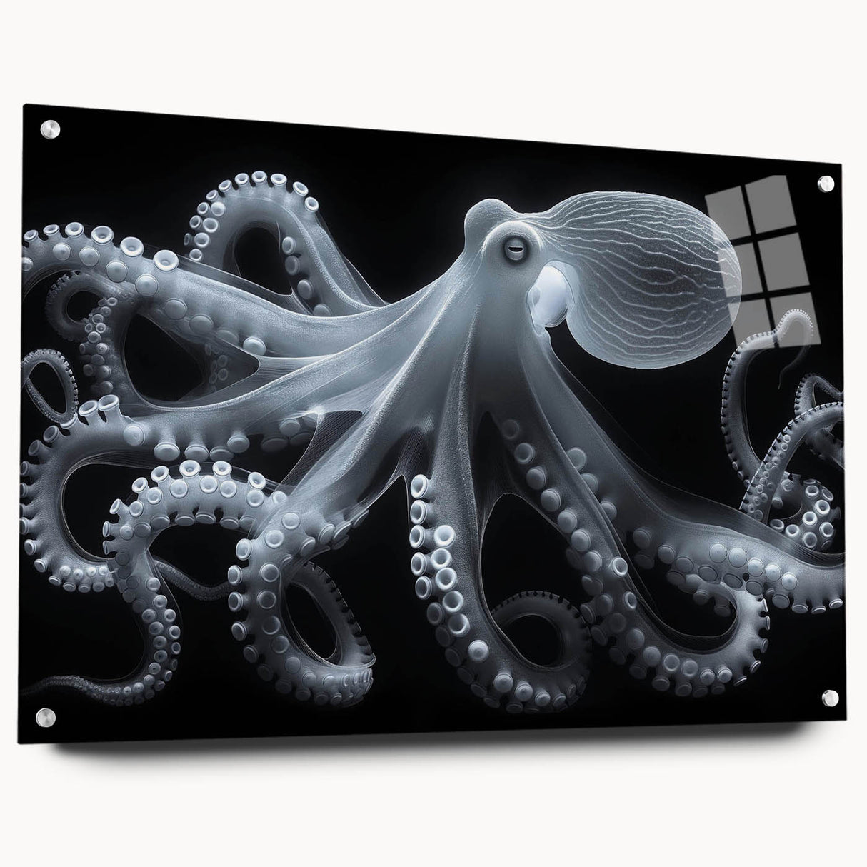 Side view of a marine life wall art collection featuring an intricate octopus design on acrylic glass, showcasing vibrant colors and detailed textures, perfect for ocean-themed decor.
