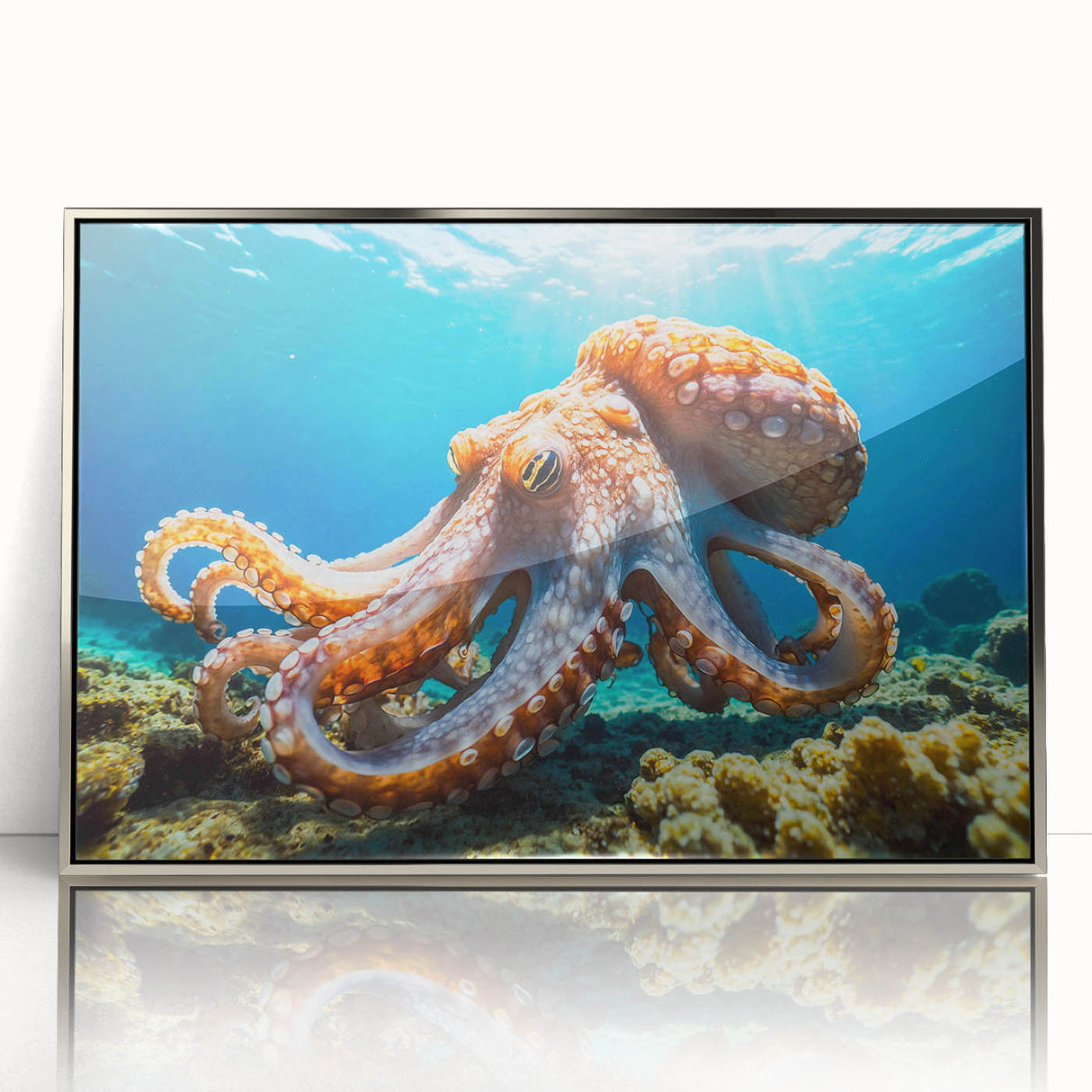 Framed wall art featuring a vibrant octopus design in acrylic, showcasing intricate details and bold colors, perfect for marine life enthusiasts and home decor.