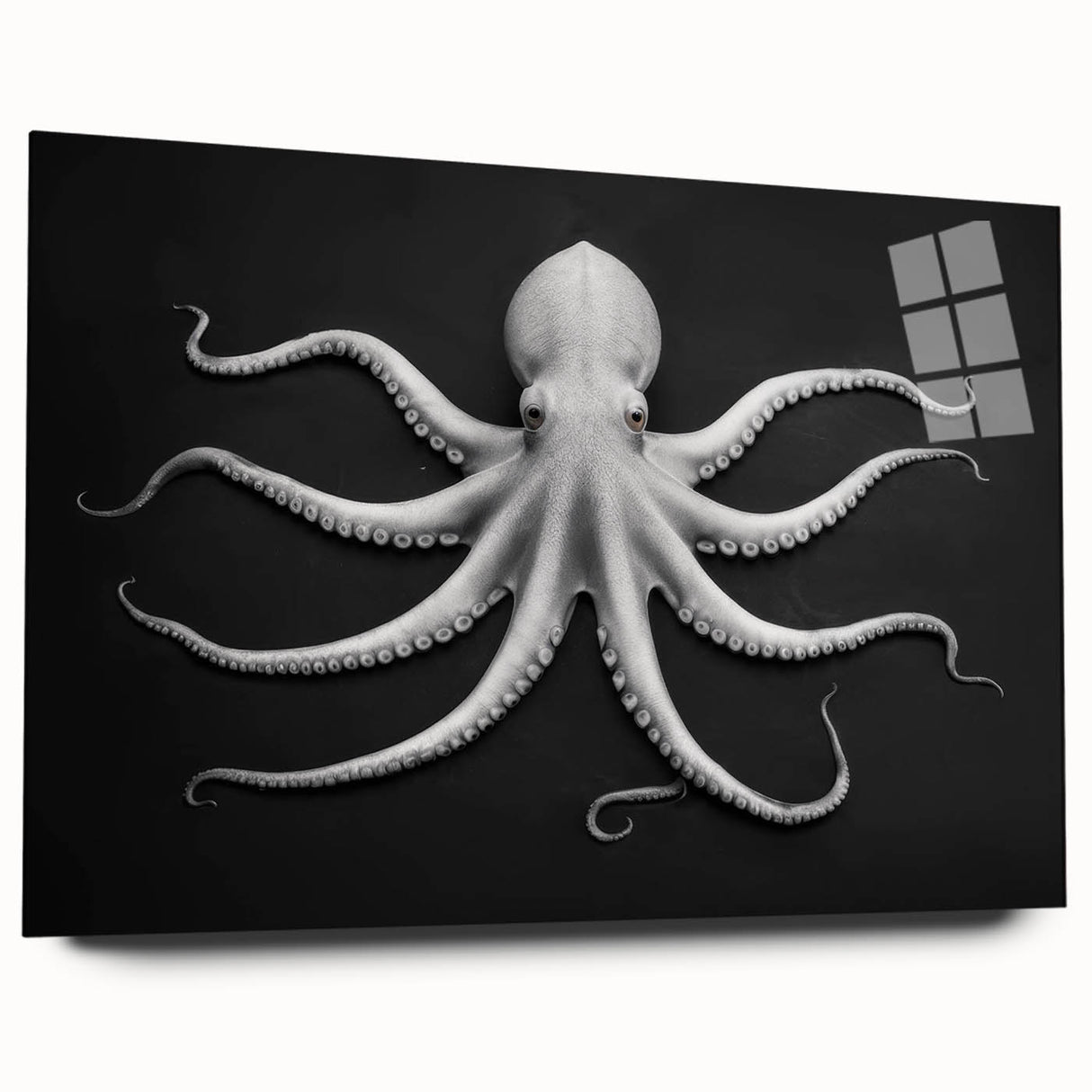 Vibrant wall art collection featuring a detailed marine life octopus design, printed on acrylic glass, showcasing bright colors and intricate textures. Perfect for ocean-themed decor, this artwork adds a touch of nature-inspired elegance to any space.