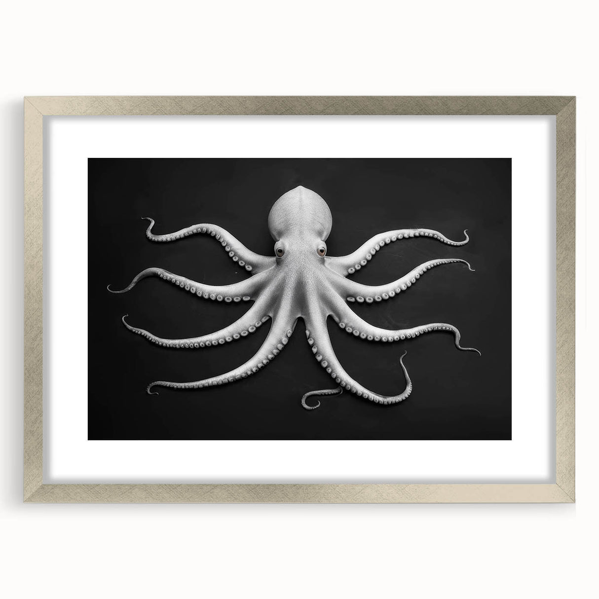 Elegant octopus wall art design in a sleek silver frame with matting, showcasing vibrant marine life details, perfect for home decor enthusiasts.