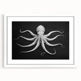 Stylish wall art featuring a marine life octopus design in a white frame with matting, perfect for ocean-themed decor. Ideal for adding a touch of elegance and personality to living spaces.
