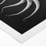 Colorful octopus wall art design on rolled canvas, showcasing intricate marine life details and vibrant hues, perfect for ocean-themed decor.