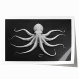 Vibrant octopus design wall art print showcasing intricate marine life details, perfect for ocean-themed decor. Features bold colors and dynamic patterns on high-quality paper.