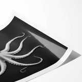 Vibrant rolled print of a marine life octopus design, showcasing intricate details and bold colors, perfect for ocean-themed decor and art enthusiasts.