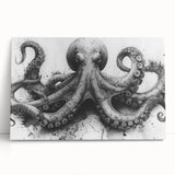 Stretched canvas wall art showcasing a vibrant octopus design, featuring intricate details and bold colors, perfect for marine life enthusiasts and modern decor.