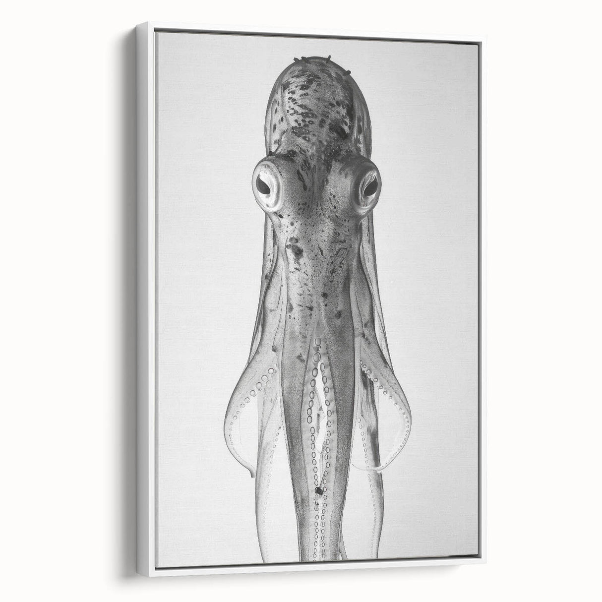 Framed canvas wall art showcasing a vibrant octopus design in marine life theme, displayed against a clean white background, perfect for coastal decor.