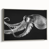 Framed canvas wall art featuring a vibrant octopus design, showcasing intricate marine life details in silver frame, perfect for ocean-themed decor.
