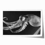 Vibrant octopus wall art print showcasing intricate marine life design with rich colors, ideal for ocean-themed decor or art collectors. Rolled and ready for framing.
