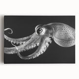 Colorful octopus wall art design on stretched canvas, showcasing intricate marine life details and vibrant hues, perfect for ocean-themed decor.