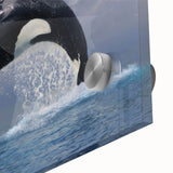 Close-up of a vibrant acrylic glass artwork featuring a detailed orca design, showcasing marine life in bold colors, perfect for ocean-themed decor.