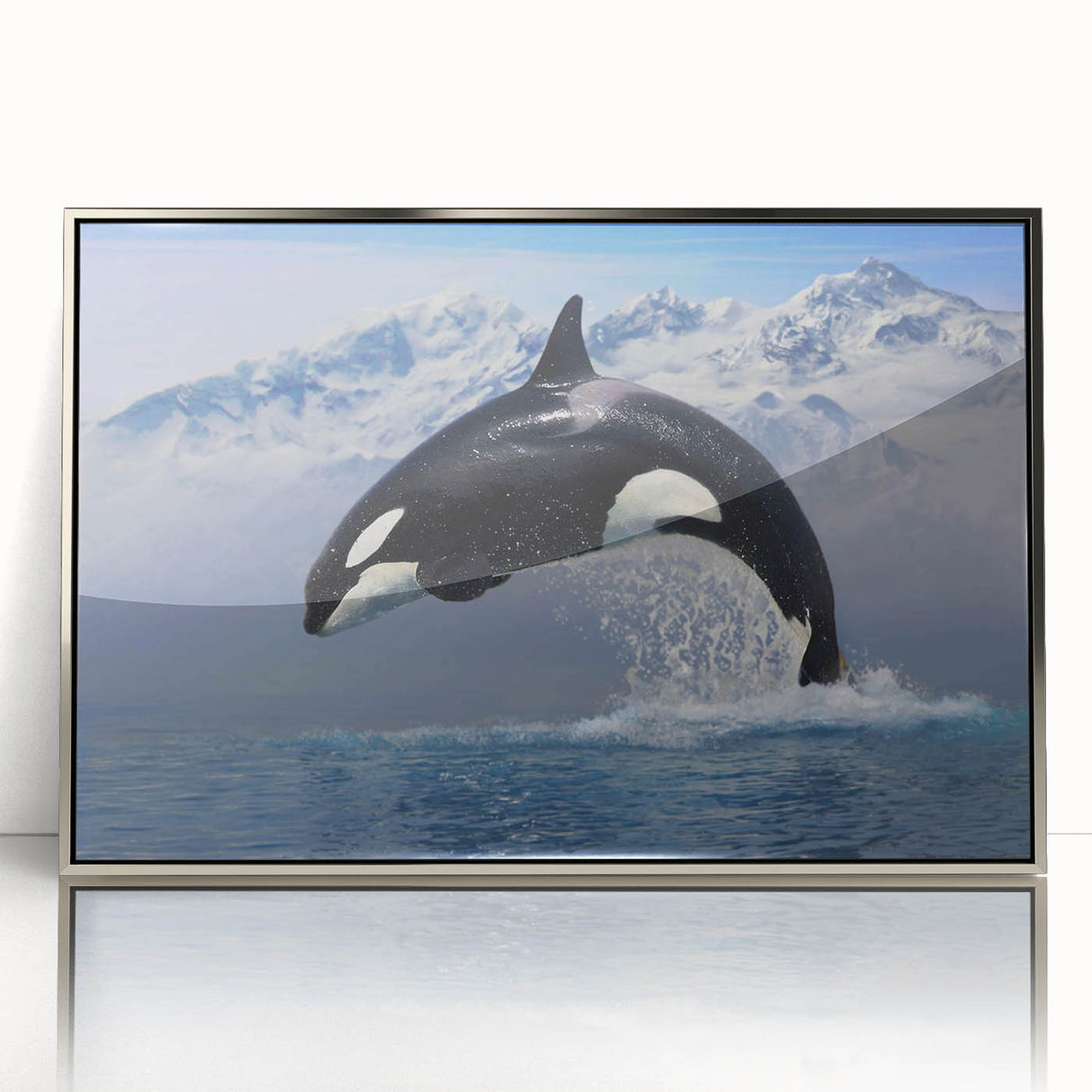 Framed acrylic wall art featuring a striking orca design in vibrant colors, set against a sleek silver frame, perfect for marine life enthusiasts. This piece adds a modern touch to any decor, ideal for living rooms or offices.