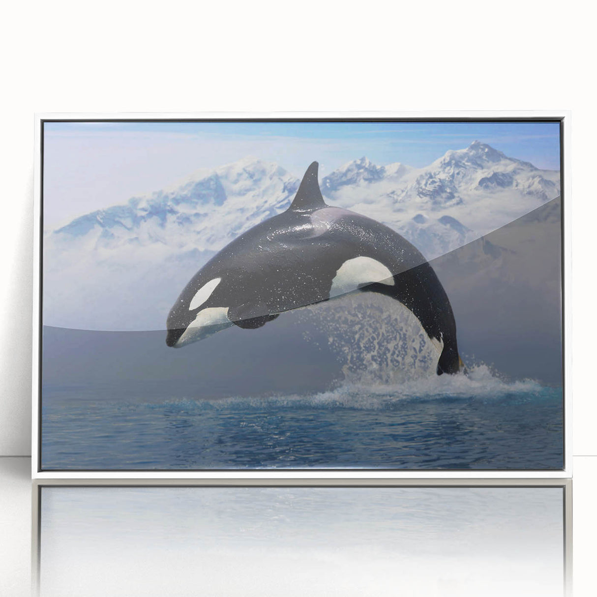 Framed acrylic wall art showcasing a striking orca design, with vibrant blue and black colors, presented in a sleek white frame for a modern coastal decor accent.