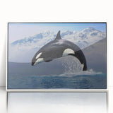 Framed acrylic wall art showcasing a striking orca design, with vibrant blue and black colors, presented in a sleek white frame for a modern coastal decor accent.