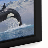 Close-up of a framed canvas wall art piece featuring a vibrant orca design, showcasing intricate marine life details against a blue background, ideal for ocean-themed decor.