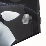 Close-up of a vibrant marine life wall art piece showcasing a striking orca design, printed on acrylic glass, perfect for ocean-themed decor.