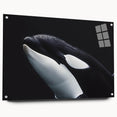 Orca design wall art collection displayed in acrylic glass, showcasing a vibrant marine life theme with pins, perfect for ocean-inspired decor.