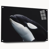 Orca design wall art collection displayed in acrylic glass, showcasing a vibrant marine life theme with pins, perfect for ocean-inspired decor.