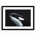 Black-framed wall art showcasing a stunning orca design, part of a marine life collection, featuring vibrant colors and intricate details, perfect for ocean enthusiasts.
