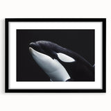 Black-framed wall art showcasing a stunning orca design, part of a marine life collection, featuring vibrant colors and intricate details, perfect for ocean enthusiasts.