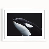 Framed wall art featuring a stunning orca design in vibrant marine life colors, set against a white mat background, perfect for ocean-themed decor.