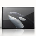 Framed acrylic wall art showcasing an orca design from the marine life collection, featuring a sleek black frame and vibrant colors, perfect for ocean lovers.