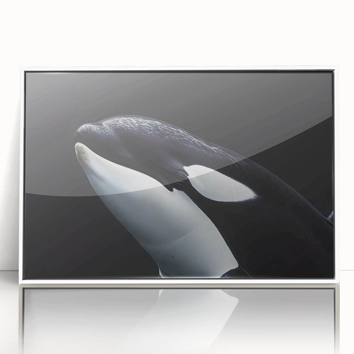 Framed acrylic wall art featuring an orca design, showcasing vibrant marine life colors and intricate details, perfect for ocean-themed decor.