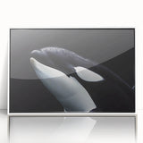 Framed acrylic wall art featuring an orca design, showcasing vibrant marine life colors and intricate details, perfect for ocean-themed decor.