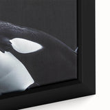 Close-up of a vibrant framed canvas featuring a detailed orca whale design, capturing the beauty of marine life with rich colors and textures, perfect for ocean-themed decor.