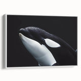 Framed wall art canvas featuring a vibrant orca whale design, set against a minimalist white background, ideal for marine life enthusiasts and home decor.