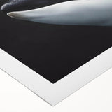 Orca wall art design printed on rolled canvas, showcasing vibrant marine life colors and intricate details, ideal for ocean-themed decor and nature lovers.