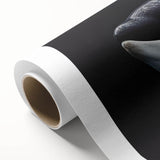 Vibrant rolled canvas featuring an orca design from a marine life wall art collection, showcasing intricate details and rich colors, perfect for ocean-themed decor.