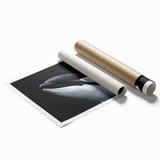 Vibrant wall art print showcasing a striking orca design, featuring detailed marine life elements in shades of blue and black, rolled and ready for display.