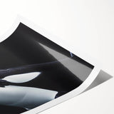 Vibrant marine life-themed wall art print featuring an orca design, showcasing deep blues and intricate details, perfect for ocean enthusiasts and home decor.