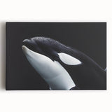 Stretched canvas wall art showcasing a vibrant orca design against a serene ocean backdrop, ideal for marine life enthusiasts and coastal decor.