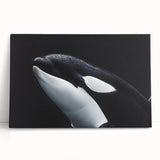 Stretched canvas wall art showcasing a vibrant orca design, highlighting marine life in vivid colors, perfect for ocean lovers and modern decor.