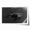 Orca wall art print showcasing a vibrant marine life design featuring bold colors and intricate details, presented as a rolled print for easy display.