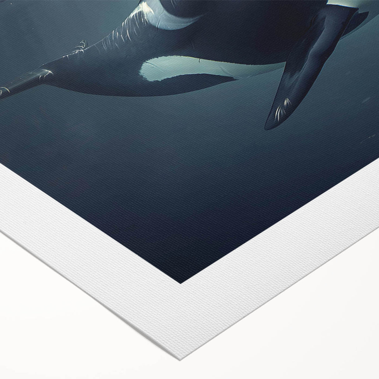 Orca wall art design on rolled canvas, showcasing vibrant marine life colors and intricate details, perfect for ocean-themed decor and enhancing interior spaces.
