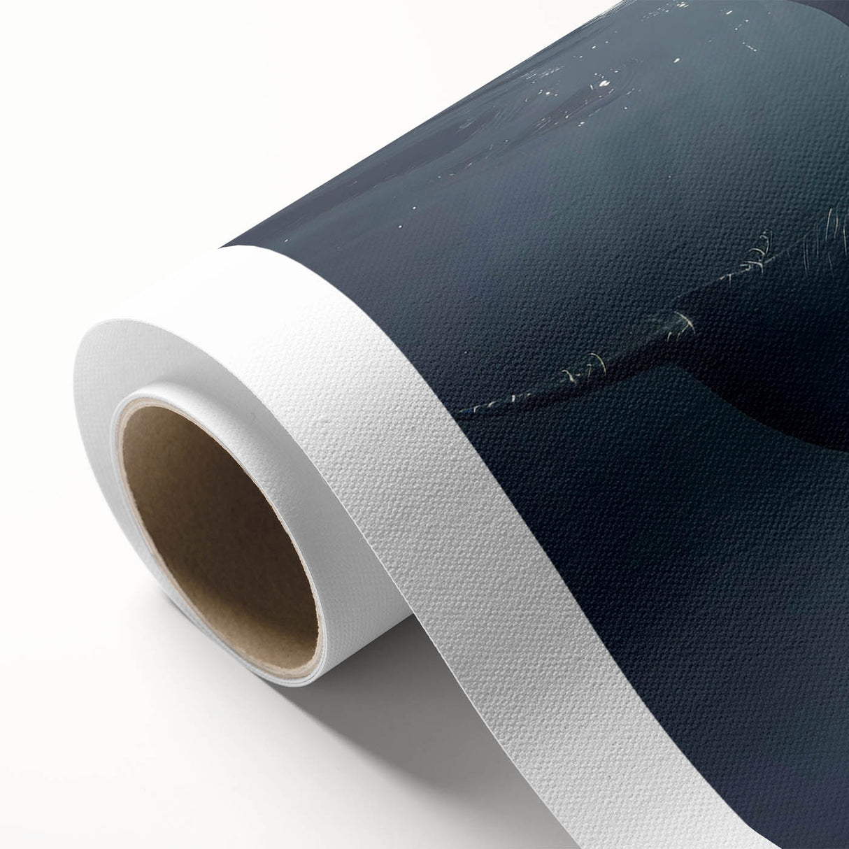 Orca wall art on rolled canvas showcasing vibrant marine life design, featuring a striking black and white orca against a blue ocean background, ideal for ocean-themed decor.