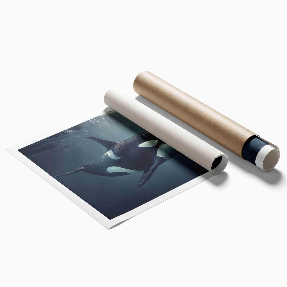 Orca design wall art print featuring vibrant marine life colors, showcasing a detailed illustration of an orca whale, ideal for ocean-themed decor.