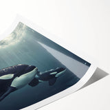 Orca wall art print featuring vibrant marine life design, showcasing a striking black and white orca whale against a blue ocean backdrop, rolled for easy display.