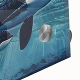Close-up of an acrylic glass wall art piece showcasing a vibrant orca design, featuring intricate marine life details, ideal for ocean-themed decor.