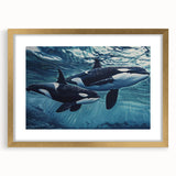 Framed wall art featuring a striking orca marine life design, elegantly matted and highlighted with a gold frame, perfect for ocean-themed decor.
