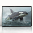 Framed wall art featuring a vibrant orca design, showcasing intricate marine life details against a sleek black background, perfect for ocean-themed decor.