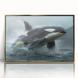Framed acrylic wall art featuring a vibrant orca design, showcasing marine life with a gold frame, perfect for ocean-themed decor. Ideal for enhancing living spaces.