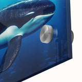Close-up of a vibrant acrylic wall art piece featuring an orca design, showcasing intricate marine life details on a glass surface, perfect for ocean-themed decor.
